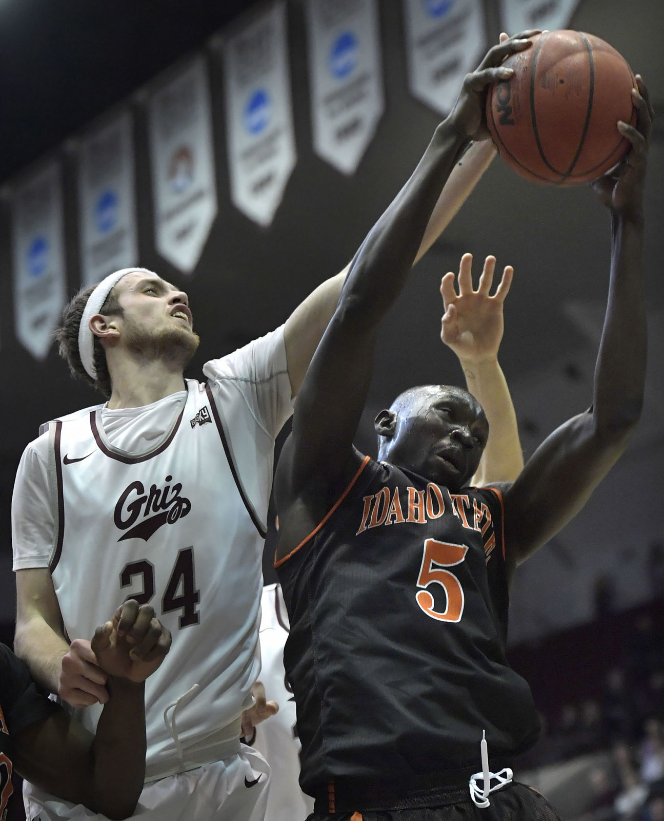 Griz vs Idaho State-1-tm.jpg